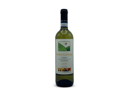 Correggia  Langhe Sauvignon