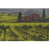 Corte Moschina  Valpolicella Ripasso Superiore