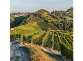 Correggia  Roero Arneis    Bio 